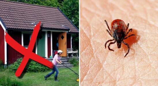 Unexpected place where ticks thrive Youre not sure