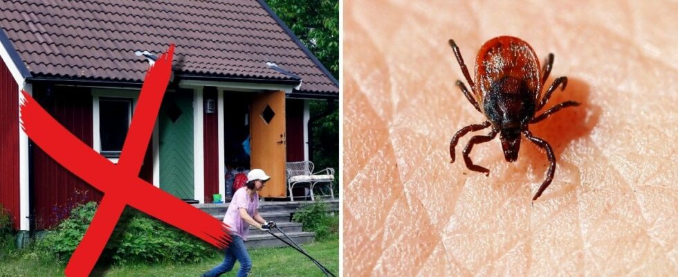 Unexpected place where ticks thrive Youre not sure