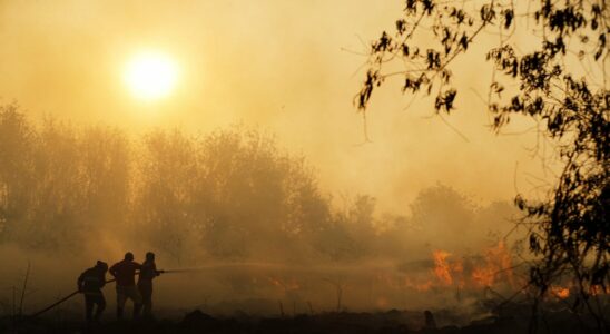 Very high risk of forest fire