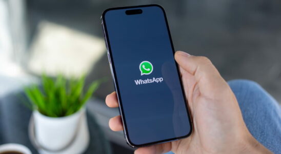 WhatsApp is expanding its customization options You will soon be