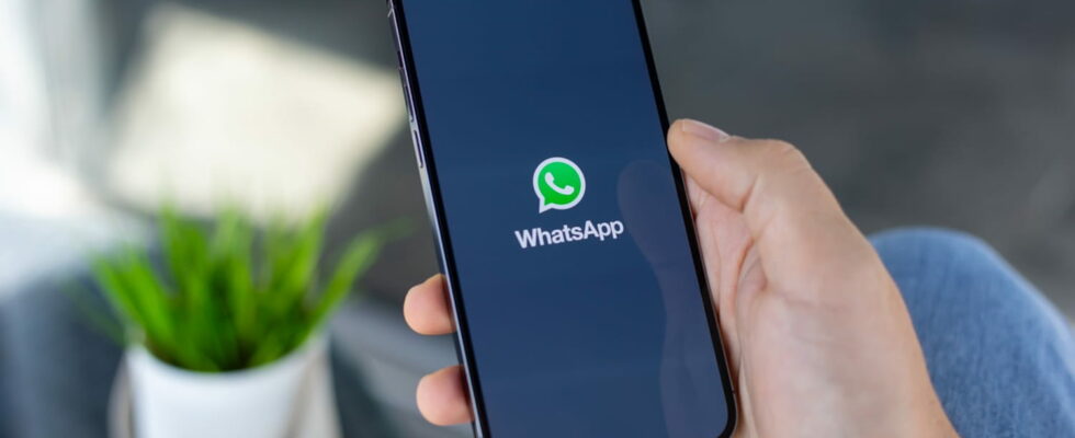 WhatsApp is expanding its customization options You will soon be