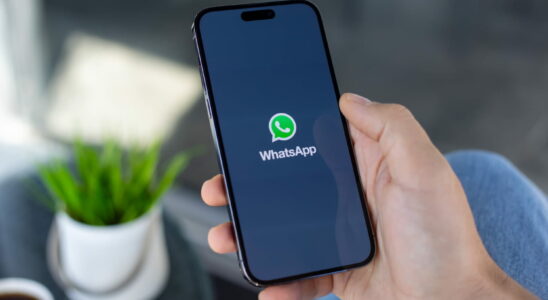 WhatsApp the new feature that should facilitate discreet calls