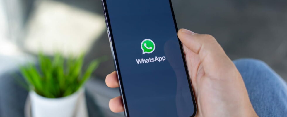 WhatsApp the new feature that should facilitate discreet calls