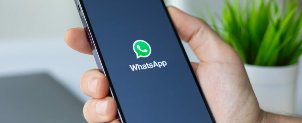 WhatsApp users are still unaware of this option which allows