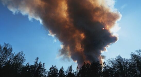 Wildfire smoke linked to increased risk of dementia