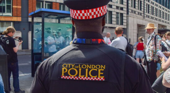 Woman and child stabbed in central London