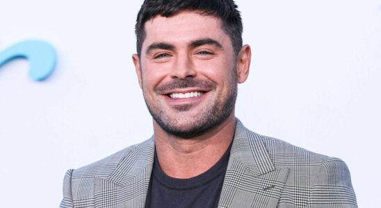 Zac Efron Found Semiconscious After Diving Into His Pool In