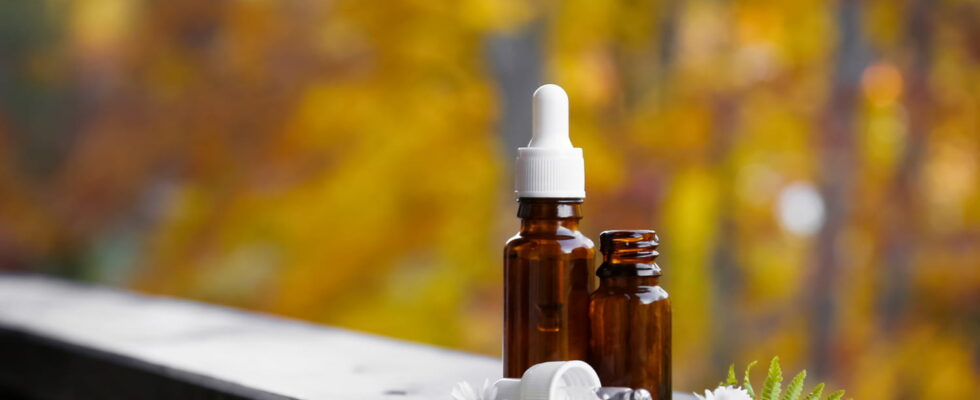 3 essential essential oils to feel good in autumn