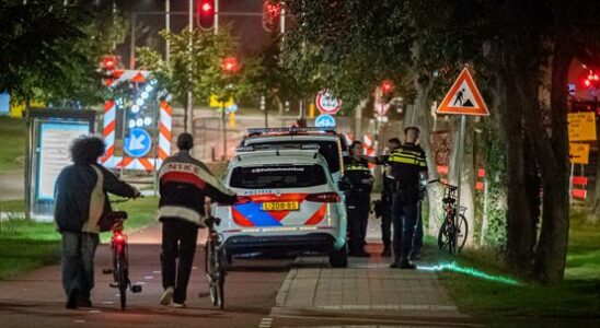 4 years in prison and TBS for Utrecht Balije stabber