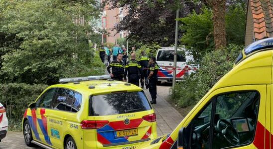 Amersfoort resident stabbed woman to death after 48 year relationship One