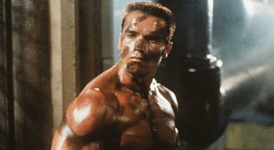 An action idea by Arnold Schwarzenegger was banned because it