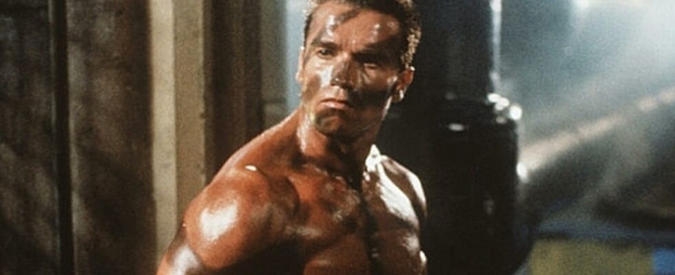 An action idea by Arnold Schwarzenegger was banned because it