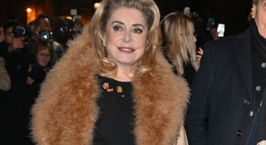 At 80 Catherine Deneuve Ditches Her Signature Blowout and Rocks