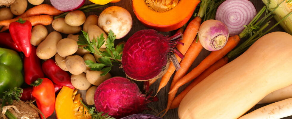 Autumn has arrived here are the seasonal vegetables to choose