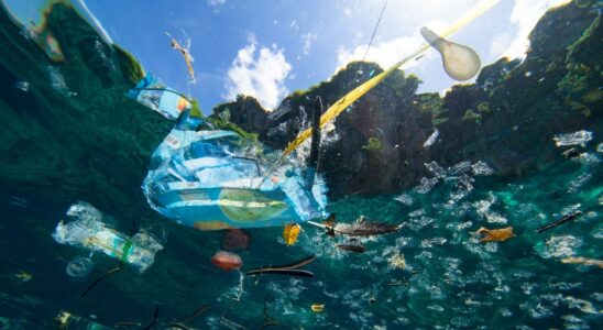 Banning plastic bags actually reduces beach pollution