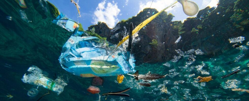 Banning plastic bags actually reduces beach pollution