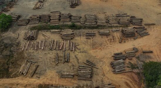 Brazil calls for postponement of European law on imported deforestation