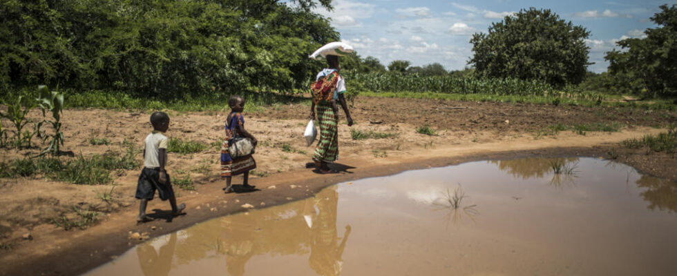 Climate Africa suffers from climate change disproportionately