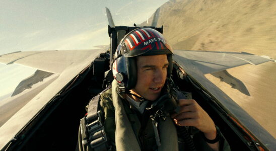 Did Tom Cruise really fly planes for the film