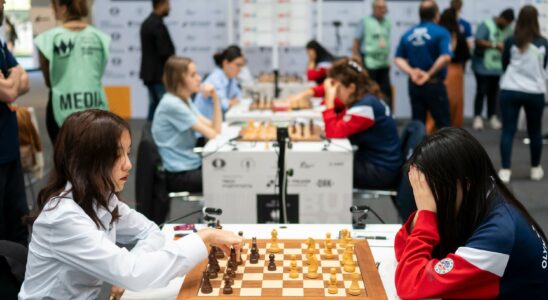 Divided chess world voted down Russian entry