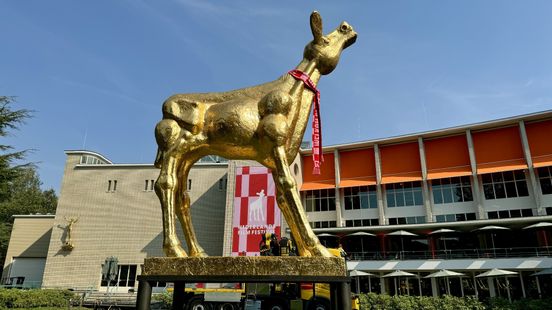 Dutch Film Festival sells scarves to raise money for