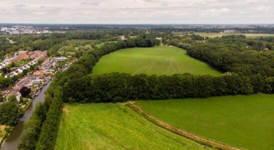 Entire city council criticizes plans for Zuilen nature reserve