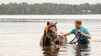 Evarts Finnish horse that earned the most prize money of