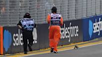 F1 practice halted for weirdest reason ever lizards escape