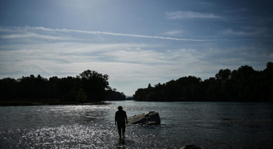 France State abandons contested dam project on last remaining wild