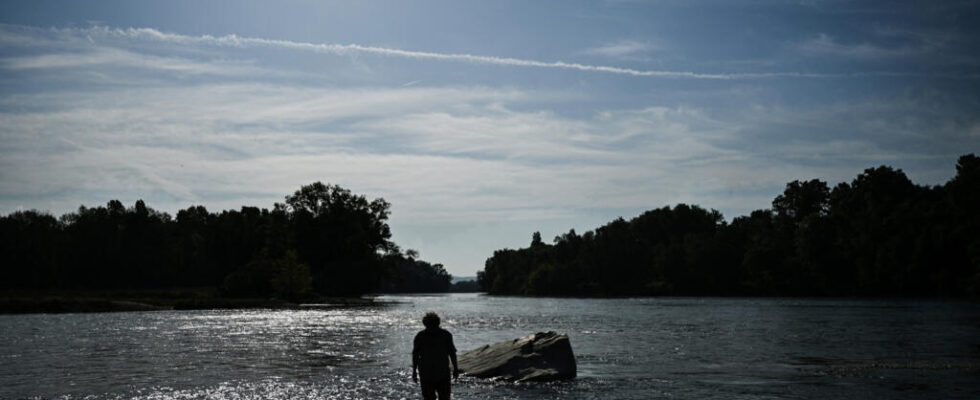 France State abandons contested dam project on last remaining wild