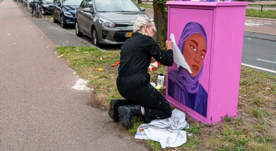 From ugly gray cabinet to pink artwork Its not political