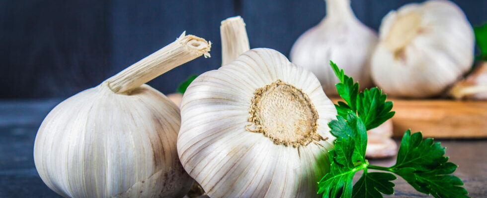 Garlic brings many benefits thanks to an absolutely unique substance