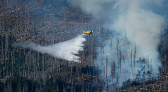 Great effort against German forest fire