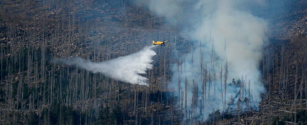 Great effort against German forest fire