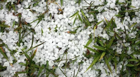 Hailstorms likely to be rarer but more intense