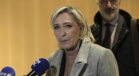 Her companion her driver Marine Le Pen hired surprising parliamentary