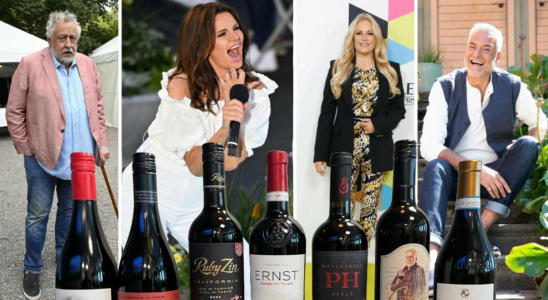 Here is Swedens best and worst celebrity wine