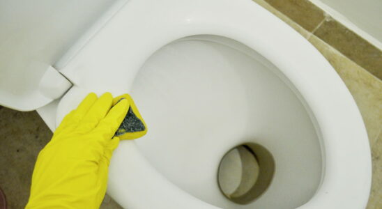 Heres why you should put coarse salt in the toilet