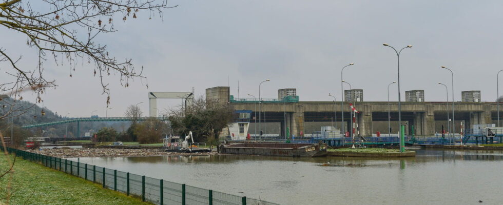 Human Feet Found Near the Seine These Macabre Discoveries Happen