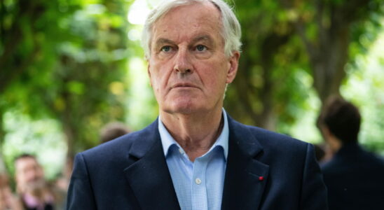 Increase in taxes Barnier has decided on income tax here