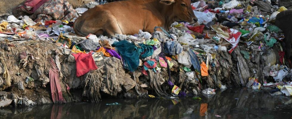 India world champion in plastic pollution study finds