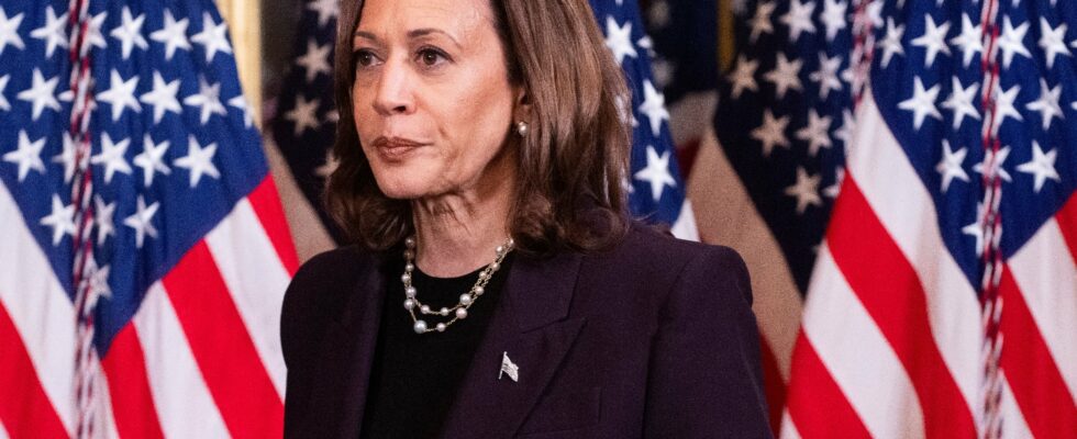 Kamala Harris targeted by Russian disinformation – LExpress