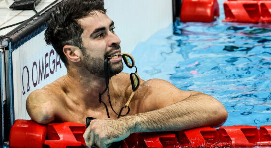 Laurent Chardard surfing butterfly Who is the French swimming champion