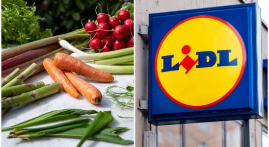 Lidl mocked for new advertising Purely ridiculous