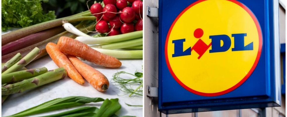 Lidl mocked for new advertising Purely ridiculous