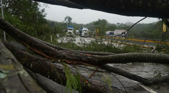 Many dead in two landslides in Mexico