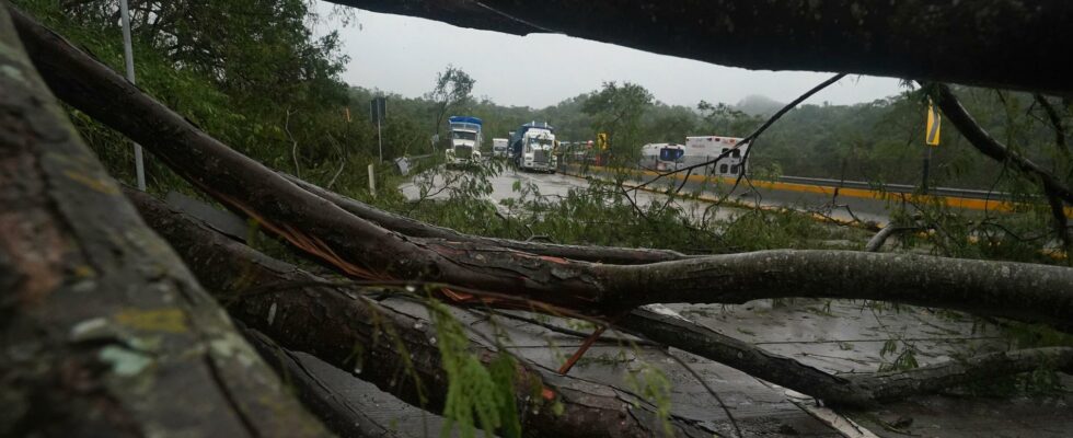 Many dead in two landslides in Mexico