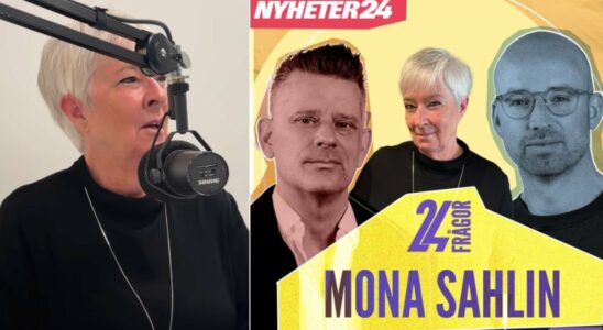 Mona Sahlin was mistaken for a famous TV profile