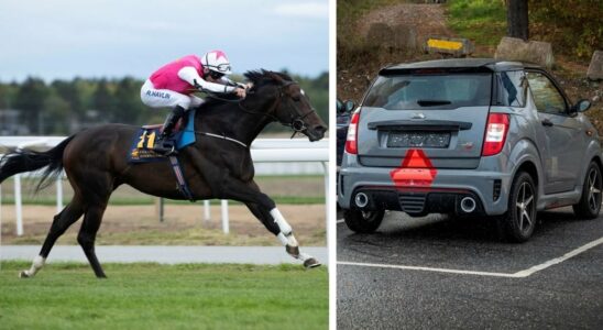 Moped car or horse which is faster