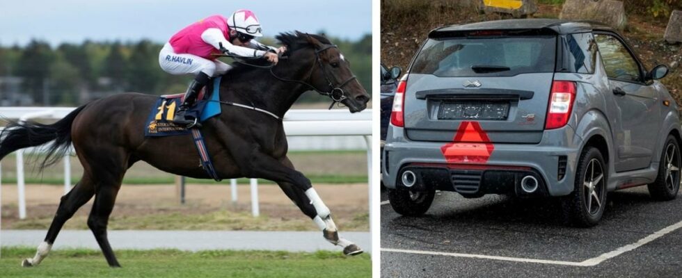 Moped car or horse which is faster